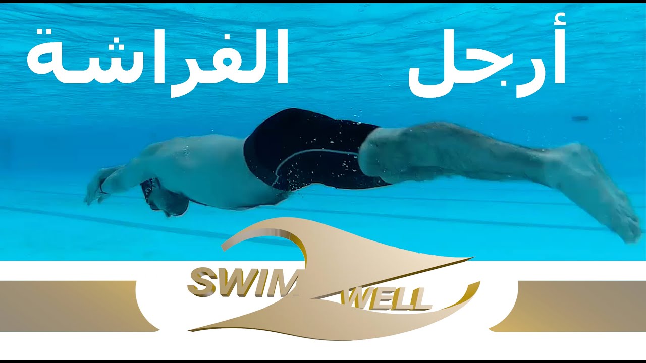Dolphin kick | ضربات الأرجل في سباحة الفراشة