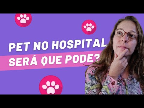 Vídeo: Visitas A Animais De Estimação Em Hospitais: Quais São Os Riscos?