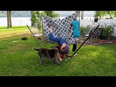 🔴 America's Funniest Home Videos 🤣 24/7