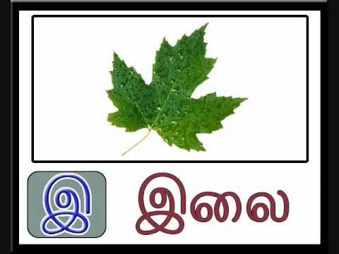 This Tamil Letters With Pictures video has been moved to - YouTube