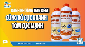 Kích tôm lột vỏ đồng loạt với Super Mix Tôm cứng vỏ cực nhanh | Au My AEC| Thuoc tri benh tom