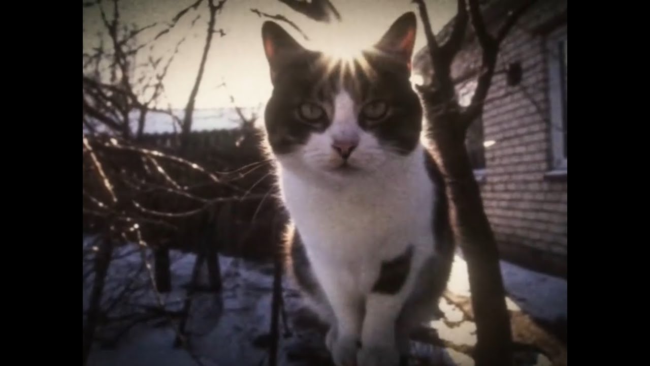 [FREE] sewerperson x lil skele x emo type beat "i just be sad shawty" [prod. secre + irby314]