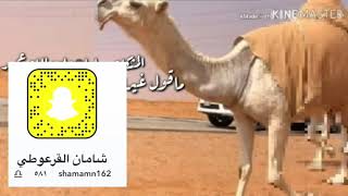 شيلة المشكله سلط علي الله عمير ماقول غير الله ربي وربه ادا: مسفر السندوانه 1442/1/1