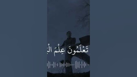 #ياسر_الدوسري #النبرة_الدوسرية #تلاوة_خاشعة #الهاكم_التكاثر_حتى_زرتم_المقابر