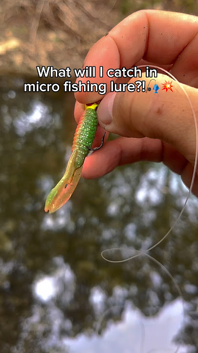 What will I catch on this MICRO fishing lure?!🎣💥 #fishing #shorts