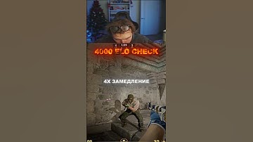 twitch strogo | #faceit #cs2 #strogo #csgo