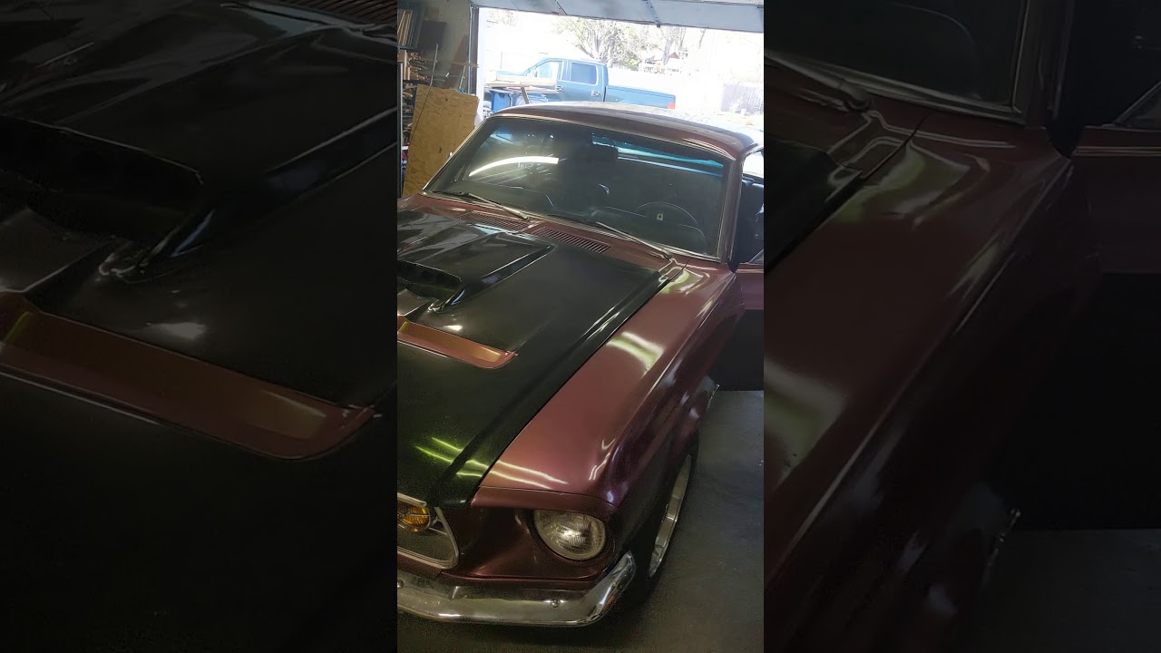 68 mustang cold start and bath time