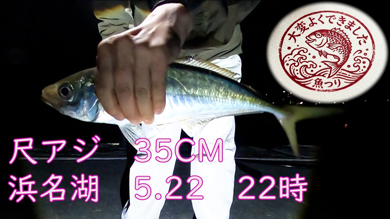イシヅカショウ様 Caught a 