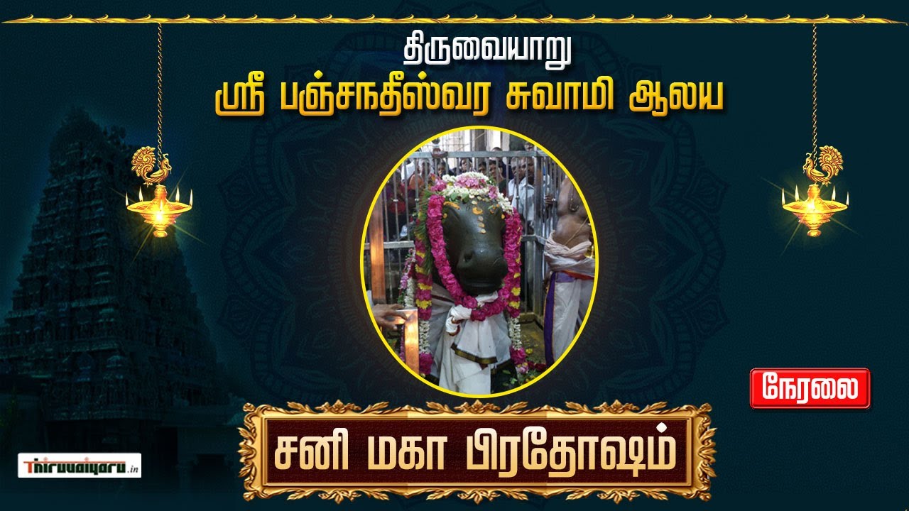 🔴 Live Thiruvaiyaru Sri Aiyarappar Alaya Sani Maha Pradosham 2024