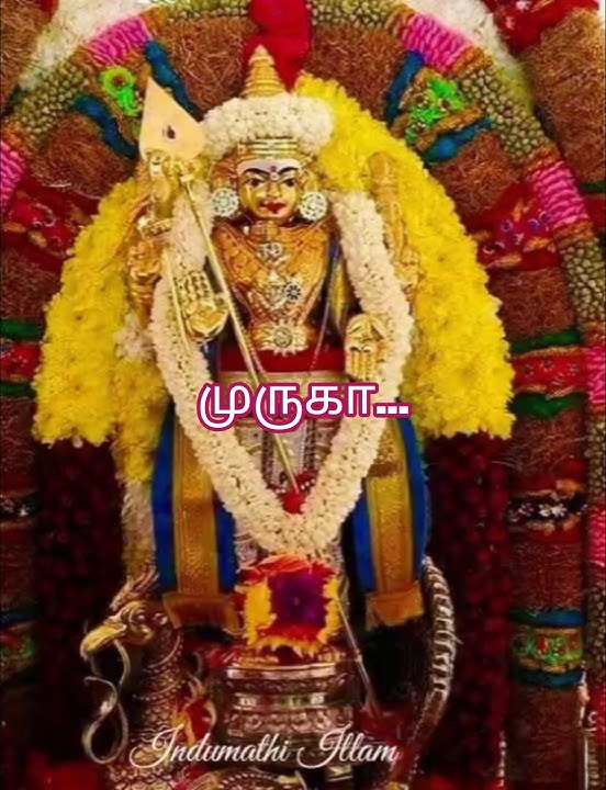solla solla inikuthada muruga #murugansongs #devotionalhits #kandhasashti