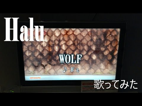 【Halu】WOLF/B'z【歌ってみた】