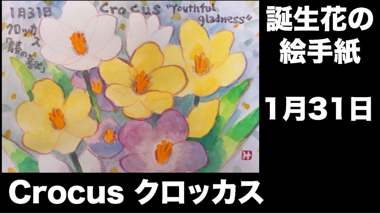 誕生花の絵手紙 1月31日 Crocus クロッカス Youtube