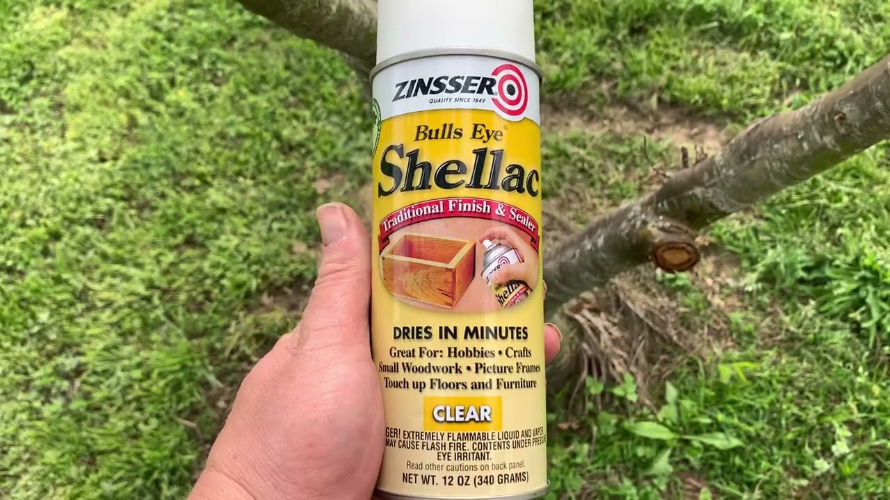 Clear, Zinsser Shellac Spray, 12 oz