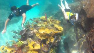 The Grand Reef at Discovery Cove