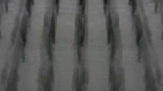 Clones[Echo5]_.avi