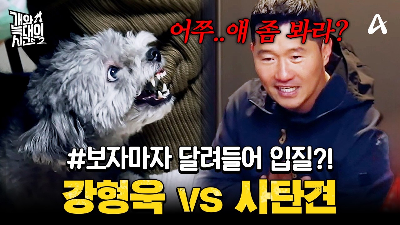 [#클립배송] 사람 피부가 찢길 정도로 강력한 입질하는 사탄견🩸 정신교육 시키는 강형욱 | #개와늑대의시간2 8회