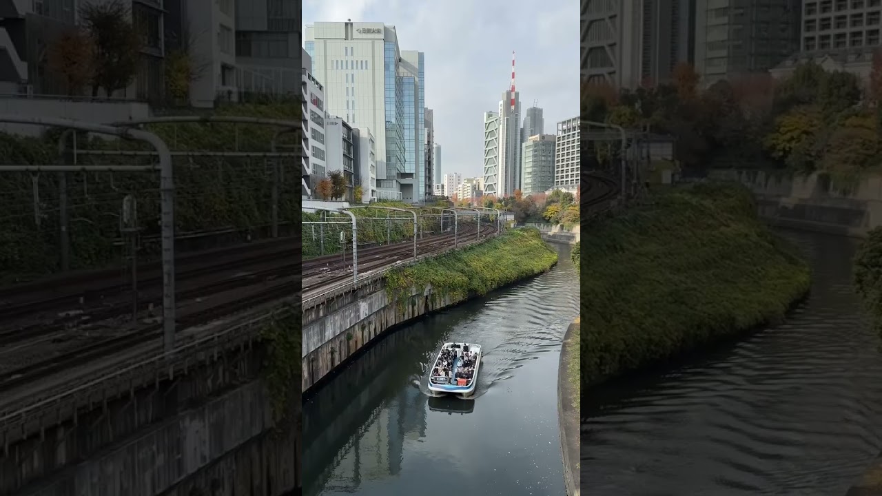 お茶の水　電車ビューポイント