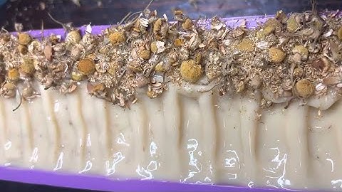 Chamomile Soap Cold Process Making | LATHER TEST | #emeraldshoneycomb