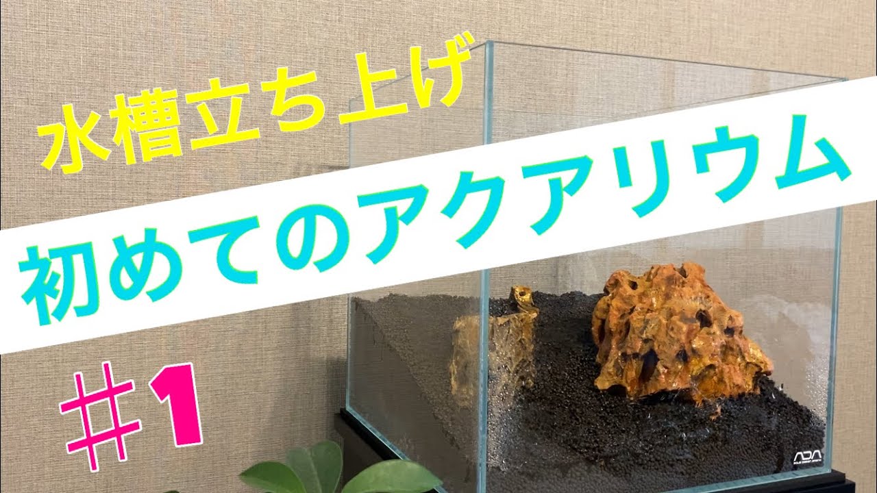 アクアリウム初心者 1初めてのアクアリウム 水槽立ち上げ Youtube アクアリウム初心者 1初めてのアクアリウム 水槽立ち上げ Youtube
