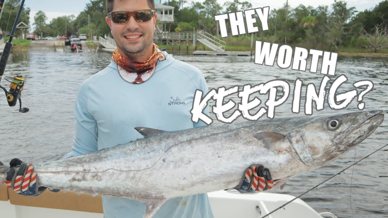 Does Kingfish taste like anything you'd want to eat? - YouTube
