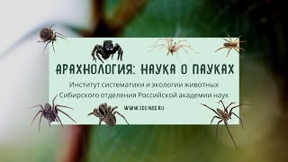 Арахнология: наука о пауках