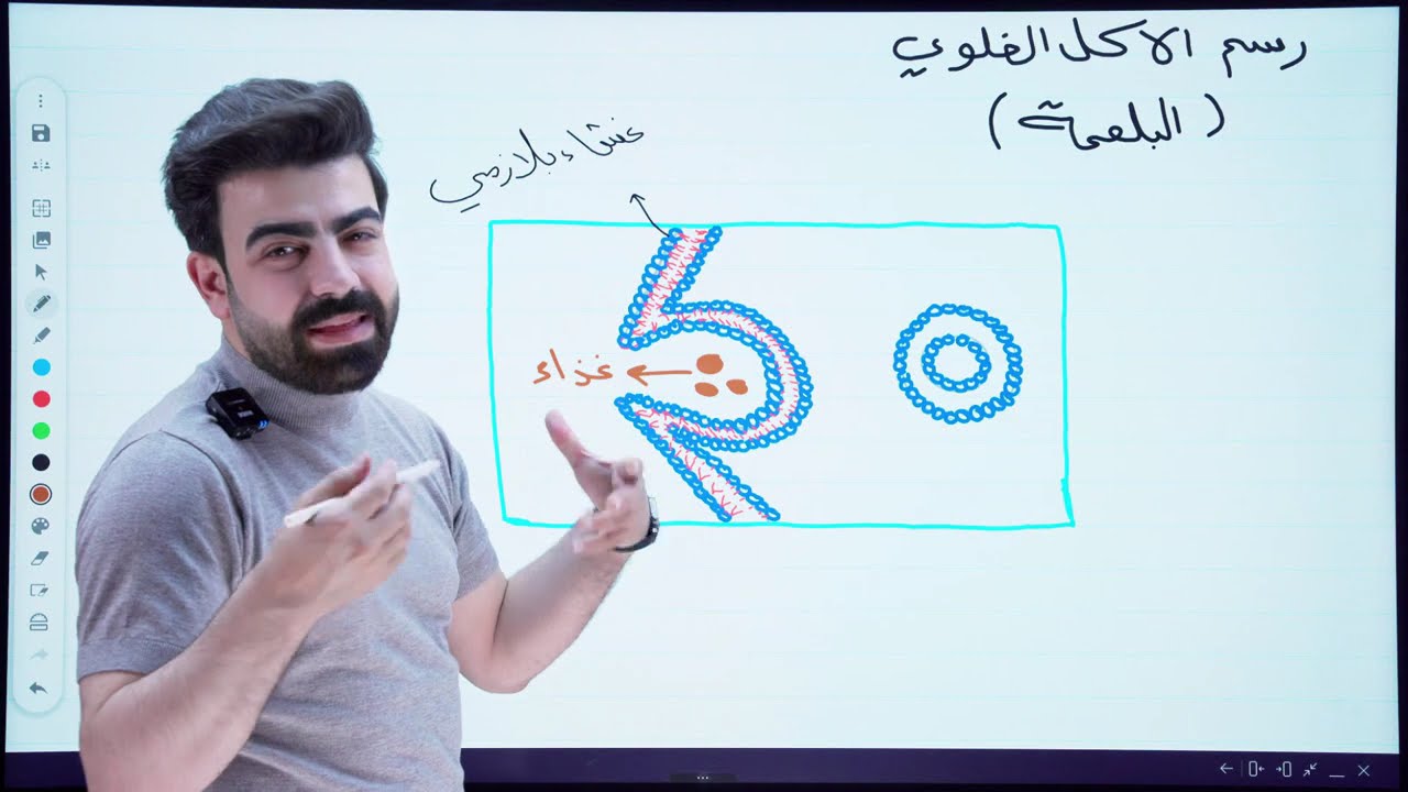 رسومات الفصل الاول | رسم عمليات الاكل الخلوي (البلعمة ) و الشرب الخلوي و الاخراج الخلوي