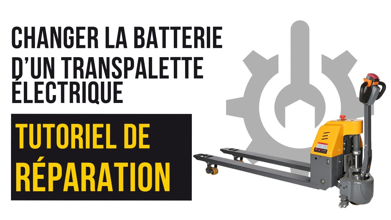 Chargeur Lithium 24V 8A Pour Transpalette électrique NOBLIFT / NOBLELIFT Modèle EDGE PTE15N - Neuf Garanti 2 Ans