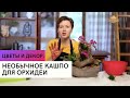 Необычное кашпо для орхидеи \ Цветы и декор