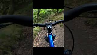 This Was The Reason i Bought a Hardtail | Ragley Blue Pig