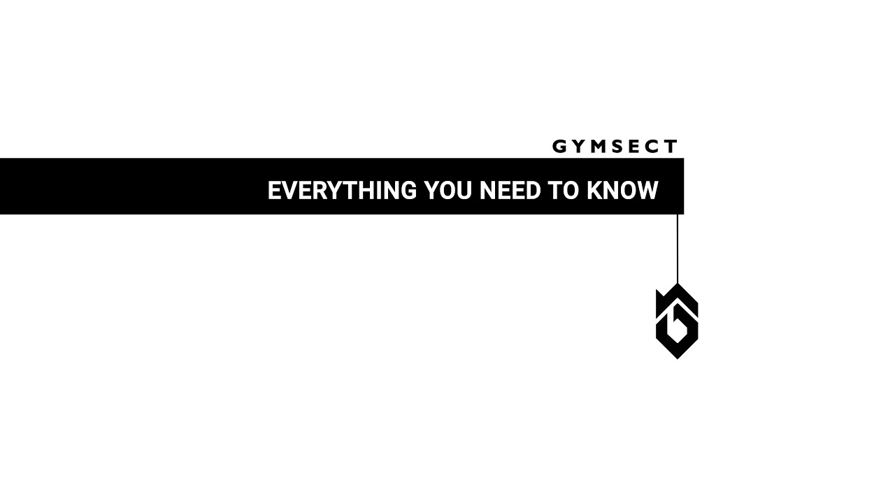 Everything you need to know about cricket protein | GYMSECT