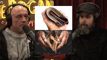 Joe Rogan And Duncan Trussell On Growing Up Rich vs Growing Up Poor