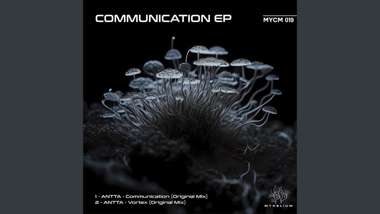 Watch Communication on YouTube Watch Communication on YouTube