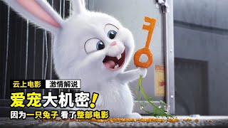 一只可爱的小白兔，居然是黑帮老大，每天都想报复人类