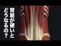 背筋が硬いとどうなるのか解説してみた