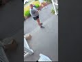 She really asked, "What did it hit?"... 🤣