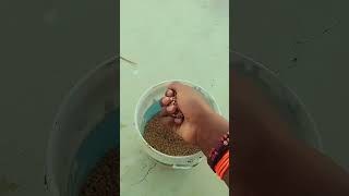 ek ek piece khabungo 😂🤣😅🕊️ #viral #top100