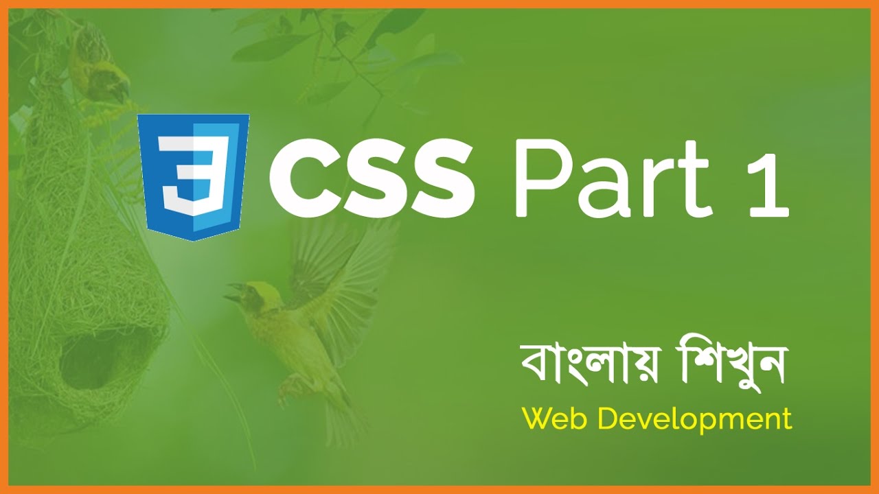 Learn CSS part 1 (intro, color) - YouTube