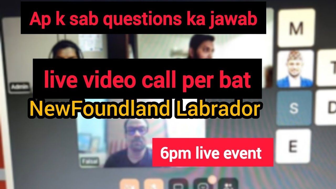 NewFoundland Labrador Virtual Fair 2024 live 6pm YouTube
