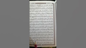 تعليم سورة المطففين من 31 إلى 34