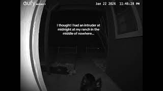 He has been watching the UPS driver ring the doorbell, and decided to test it out at midnight when