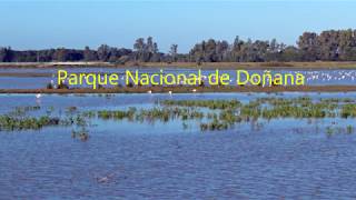 Parque Nacional de Doñana "Patrimonio de la Humanidad"