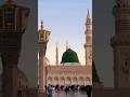 Mere Nabi ❤️ #shorts #feedshorts #youtubeshorts #viralshorts #trendingshorts #shortvideo #ytshorts