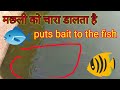 Feeding Fish