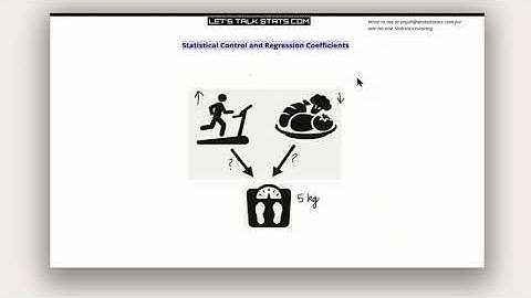 Not Just a Slope – What Regression Coefficients Really Mean