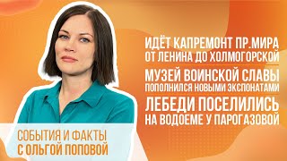 Идёт капремонт пр. Мира - от Ленина до Холмогорской. Лебеди поселились на водоеме у Парогазовой.