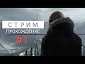Hitman 3 - Стрим (Играем, Общаемся, Рофлим)