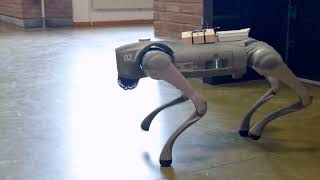 UNITREE Go2 Pro -  Human Robotics Interaction demonstration