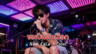 ขอเป็นตัวเลือก - Num KaLa - Cover by 888 Beat