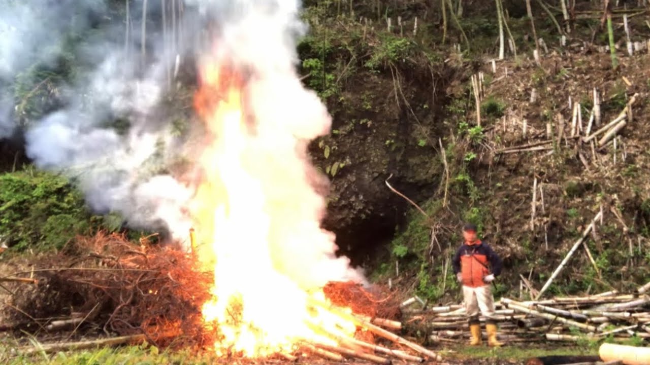 荒廃した孟宗竹林の整備3年目〜今日は煙多め202404/27-01