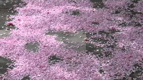 How Soon Hath Time ~ John Milton